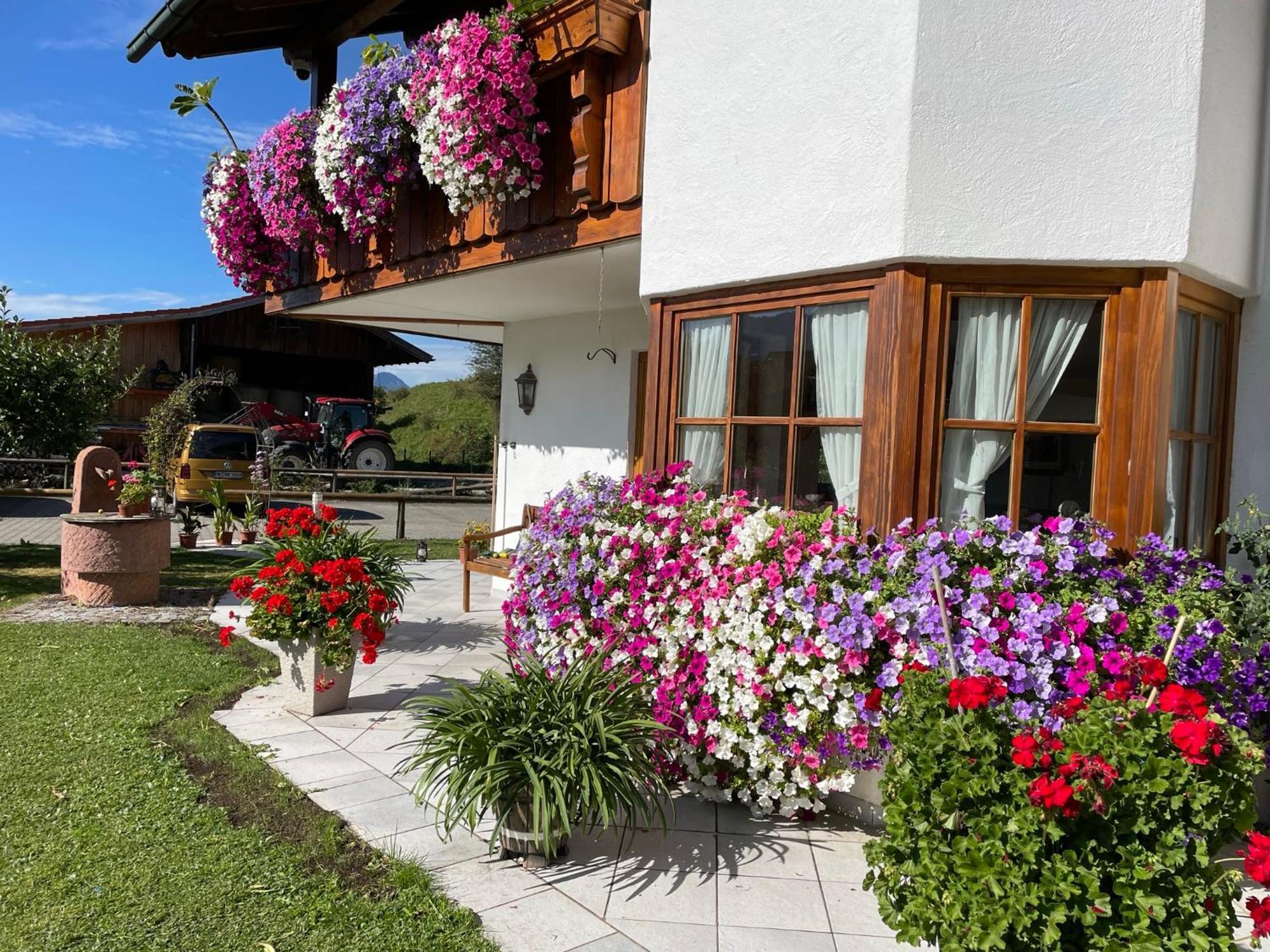 Gaestehaus Seeklause Schwangau Exterior photo